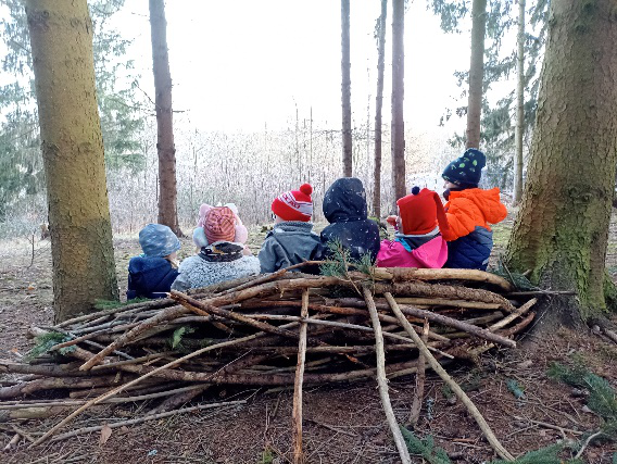 Waldspaziergang am 22.01.2025